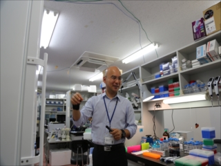 建物耐震工事のせいで今はまだ間借り状態。ただし必要最小限の機材があれば,どこのラボの片隅でも研究はできる。