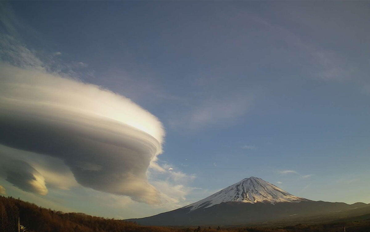 研究イメージ画像